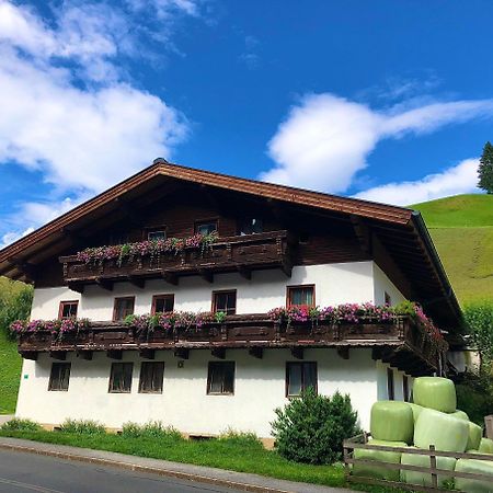 Stoecklhof Villa Dienten am Hochkoenig Luaran gambar